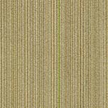 T66108 Beige Colored